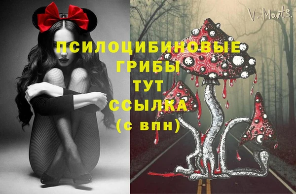 соль ск Абинск